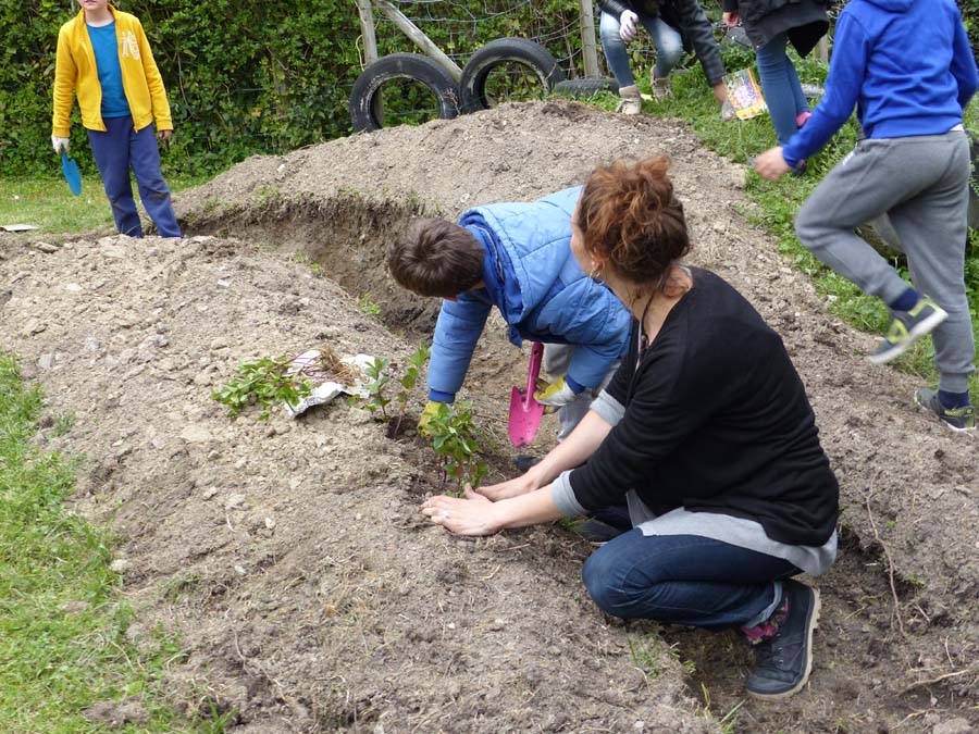 Les différents axes de l'accompagnement